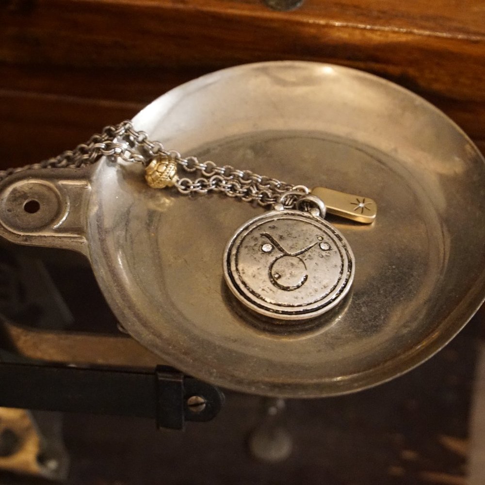 Taurus Reversible Necklace - Picture 3 of 4